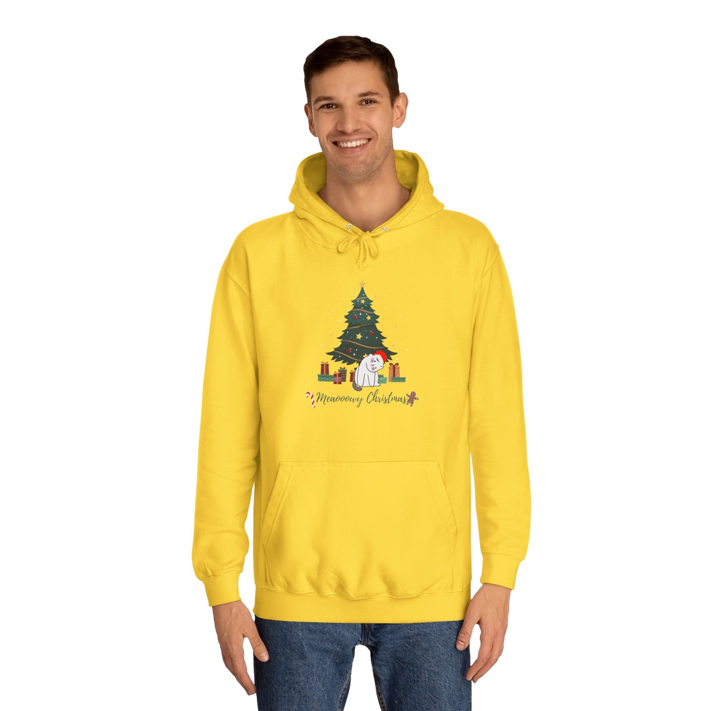 Cat lover Hoodie for Christmas